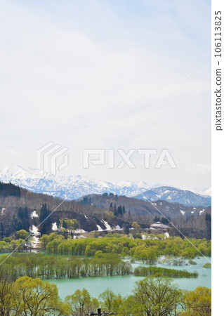 白河湖沈水林(山形縣) 白河湖沈水林(山形縣) 106113825