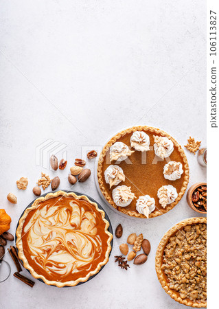 Traditional fall Thanksgiving pies, pumpkin and pecan pie Traditional fall Thanksgiving pies, pumpkin and pecan pie 106113827