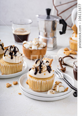 Smores cupcakes with graham crackers, toasted marshmallows and chocolate 106113877