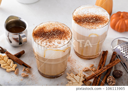 Pumpkin spice latte topped with milk foam and dusted with cinnamon Pumpkin spice latte topped with milk foam and dusted with cinnamon 106113905