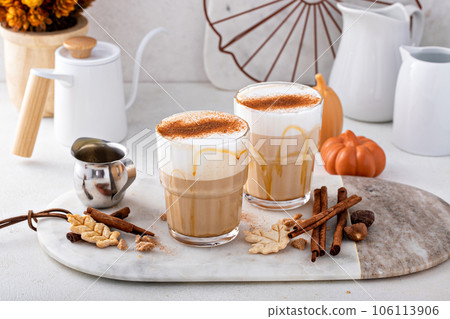 Pumpkin spice latte topped with milk foam and dusted with cinnamon Pumpkin spice latte topped with milk foam and dusted with cinnamon 106113906