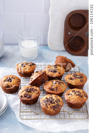 Banana chocolate chip muffins on a baking rack, breakfast or snack idea 106114192