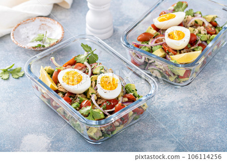 Meal prep containers with avocado tuna salad and boiled egg 106114256