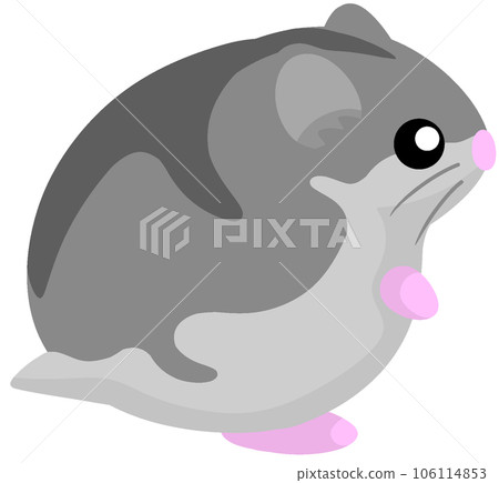 Djangarian倉鼠 106114853