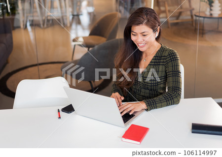 Content modern lady working on laptop 106114997