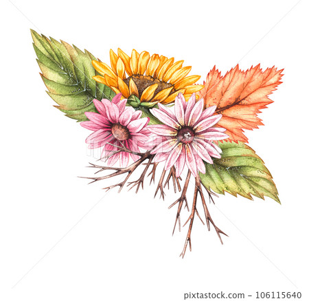 Watercolor autumn composition with autumn sunflower flowers, chrysanthemums, wilted leaves isolated on white background Watercolor autumn composition with autumn sunflower flowers, chrysanthemums, wilted leaves isolated on white background 106115640
