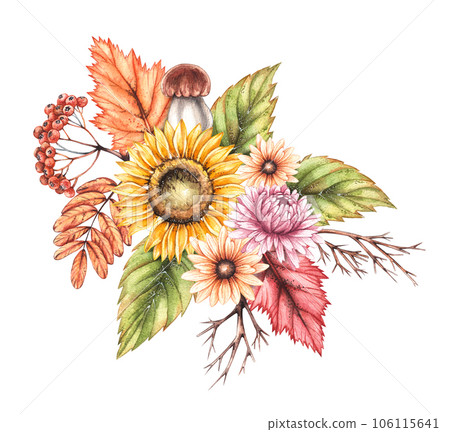 Watercolor autumn composition with autumn sunflower flowers, chrysanthemums, wilted leaves isolated on white background Watercolor autumn composition with autumn sunflower flowers, chrysanthemums, wilted leaves isolated on white background 106115641