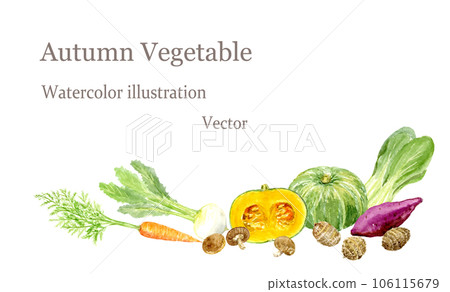 水彩矢量繪製的秋季蔬菜插圖 106115679