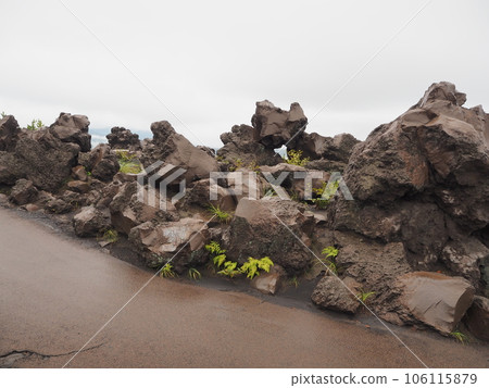 櫻島觀光地、有村熔岩展望台步行道 106115879