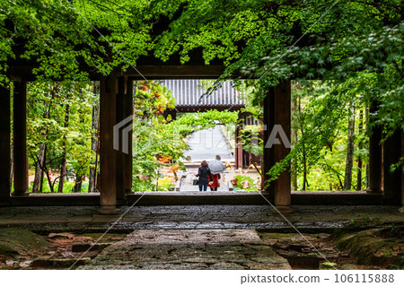 被新綠包圍的寺門|曹源寺 被新綠包圍的寺門|曹源寺 106115888