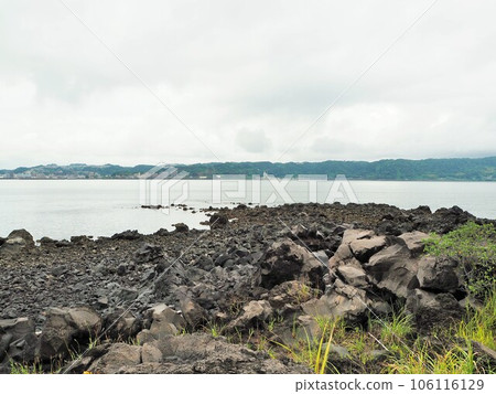 櫻島的觀光景點積水展望廣場、尖叫的肖像 106116129