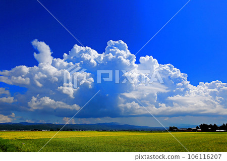 Shonai plain countryside and cumulonimbus clouds Shonai plain countryside and cumulonimbus clouds 106116207