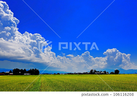 Shonai plain countryside and cumulonimbus clouds Shonai plain countryside and cumulonimbus clouds 106116208