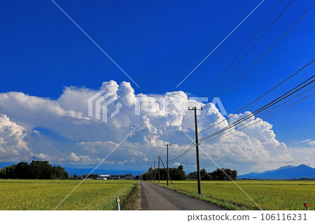Shonai plain countryside and cumulonimbus clouds Shonai plain countryside and cumulonimbus clouds 106116231