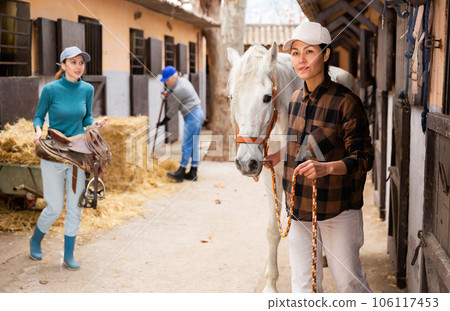 Women ranchers preparing white horse for ride 106117453