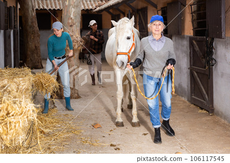 Backyard of the stables on typical autumn day - horse walking and tidying up territory 106117545