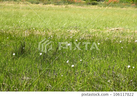 Hachimantai in early summer 106117822