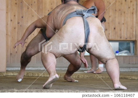 相撲 大相撲力士 106118407