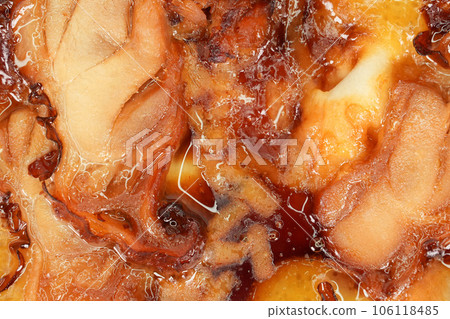 Teriyaki chicken pizza 106118485