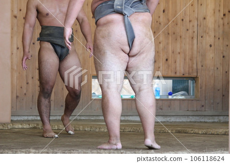 Sumo Grand Sumo wrestler 106118624