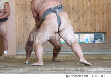 Sumo Grand Sumo wrestler 106118999