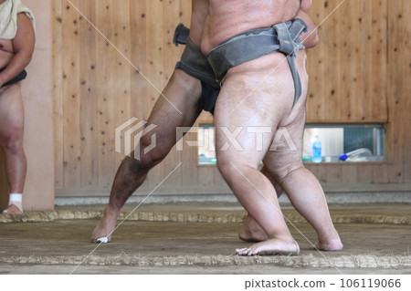 Sumo Grand Sumo wrestler 106119066
