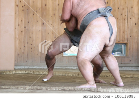 相撲 大相撲力士 106119093