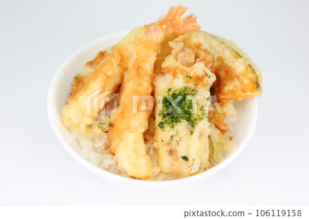 米飯和油炸魚碗 106119158