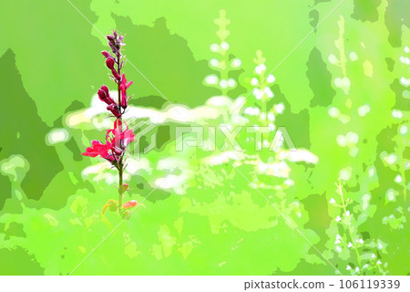 窗戶花園 106119339