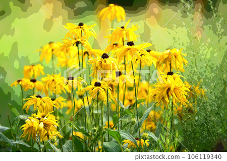 窗戶花園 窗戶花園 106119340