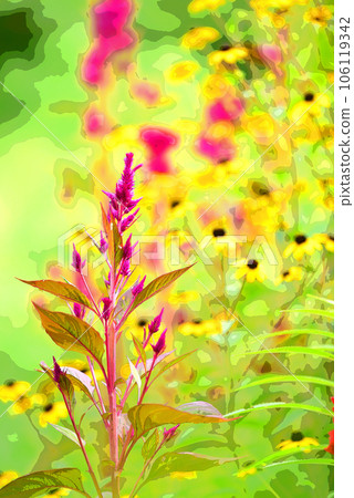 window garden 106119342