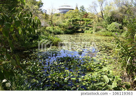 庭園博物館 比叡睡蓮園 106119363
