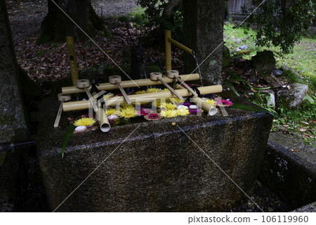 Hiyoshi Taisha Shrine, the flower wash basin in front of the Nishimoto Shrine Romon Gate 106119960