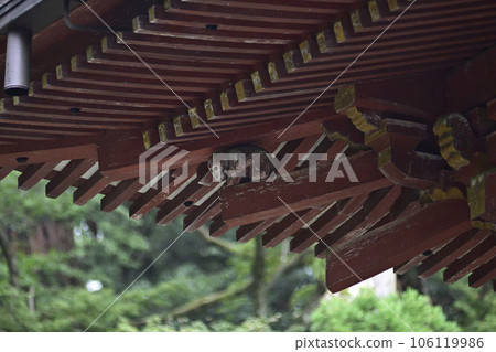 Hiyoshi Taisha, the divine monkey at the Nishimoto shrine gate (under the eaves) 106119986