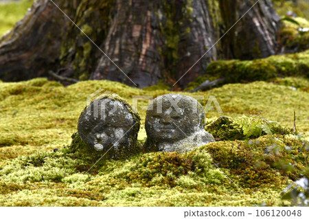 Warabe Jizo Warabe Jizo 106120048