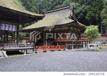 Hiyoshi Taisha Nishimoto Shrine Nishimoto Shrine Main Hall 106120178
