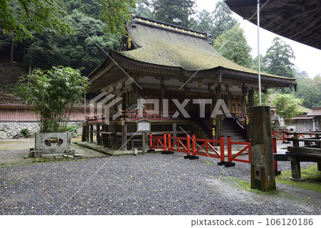 Hiyoshi Taisha Nishimoto Shrine Nishimoto Shrine Main Hall 106120186