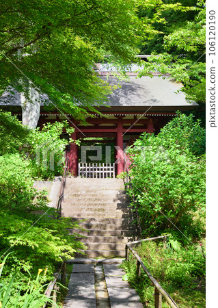 Kamakura Myohoji Temple Beautiful Niomon Gate and Moss Stone Steps (Kanagawa Prefecture) 106120190