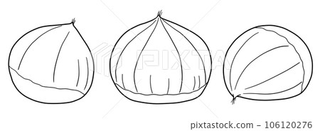 Simple chestnut line drawing illustration material Simple chestnut line drawing illustration material 106120276