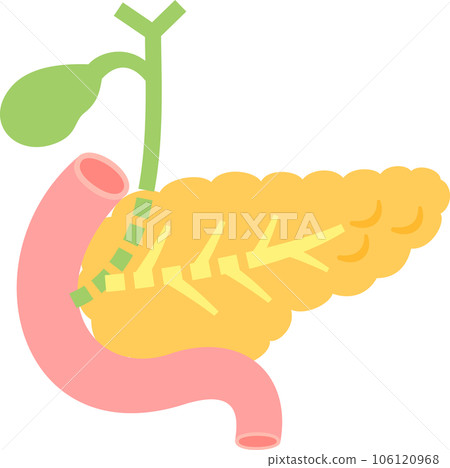 Deformed illustration of gallbladder and pancreas Deformed illustration of gallbladder and pancreas 106120968