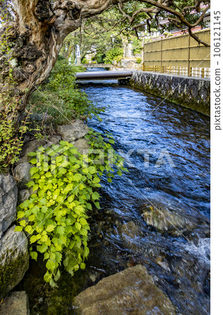 Clear stream of Jizo River Clear stream of Jizo River 106121145