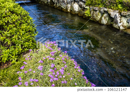 Clear stream of Jizo River 106121147