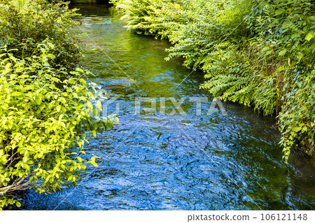 Clear stream of Jizo River 106121148