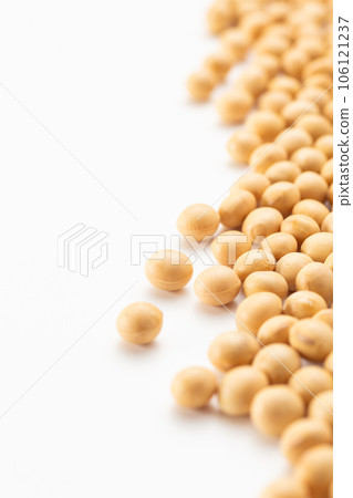 大豆 106121237