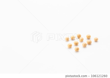 大豆 大豆 106121260