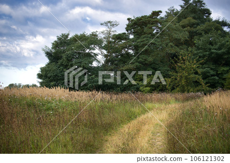 Dusty winding dirt road meanders through a lush field 106121302