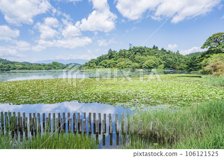 陽光明媚的日子裡的福島南港公園 陽光明媚的日子裡的福島南港公園 106121525
