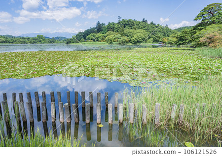 Fukushima Nanko Park on a sunny day Fukushima Nanko Park on a sunny day 106121526