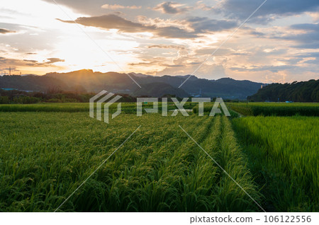 相模原的鄉村風光,黃昏的鄉村 相模原的鄉村風光,黃昏的鄉村 106122556