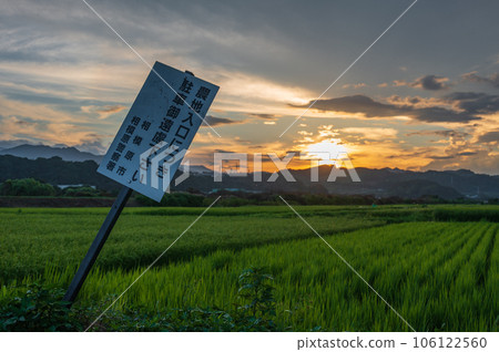 Rural scenery of Sagamihara, countryside at dusk Rural scenery of Sagamihara, countryside at dusk 106122560